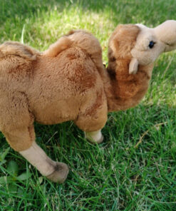Camel toy