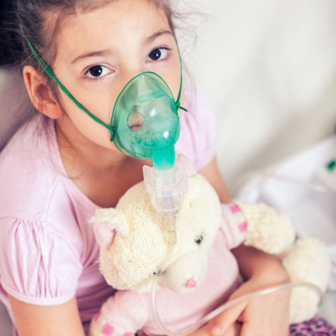 Can a child with allergies or asthma play with stuffed animals?