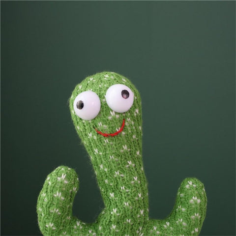 cactus teddy