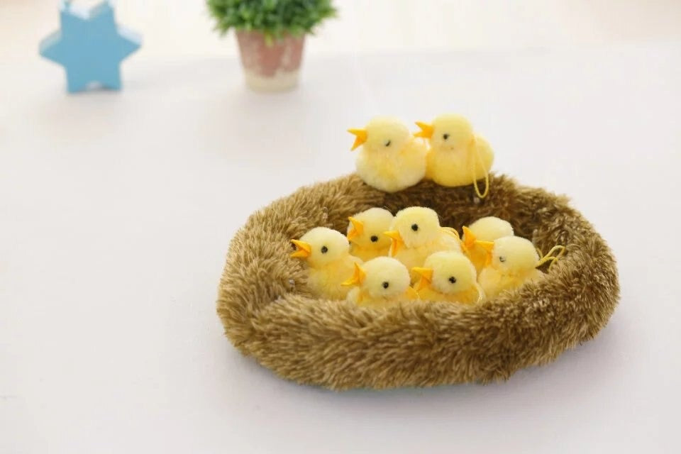 chicks soft toy