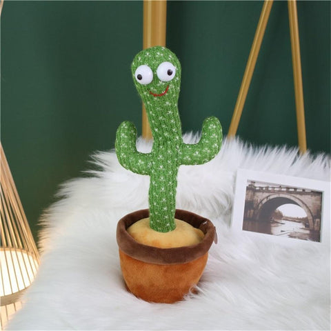 cuddly cactus