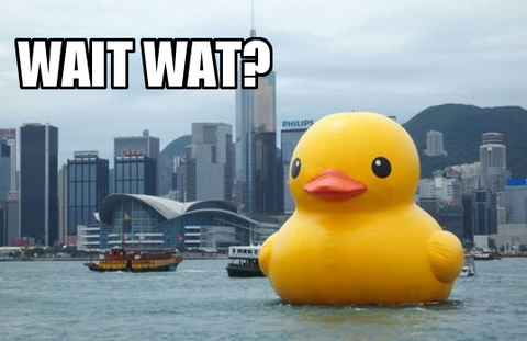 giant rubber duck and sending it on a world tour around the waters of Europe