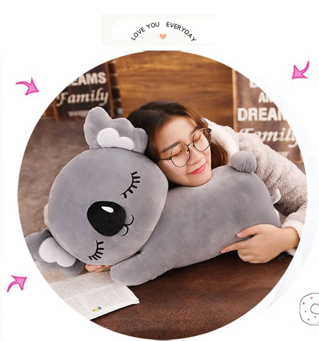 koala cuddly soft toy