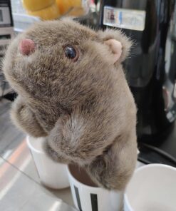 plush wombat
