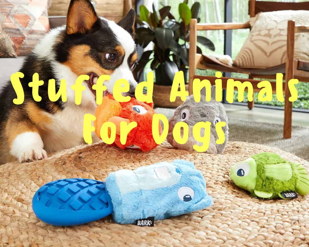 Best Stuffed Animals For Dogs