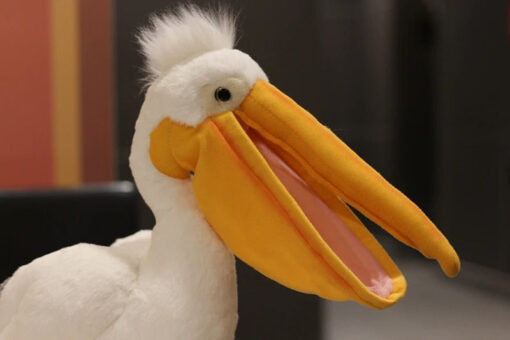 stuffed animal pelican
