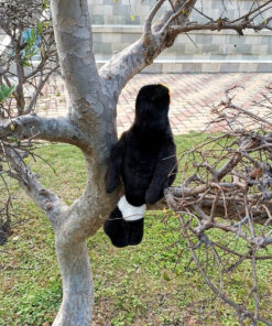 stuffed animal toucan
