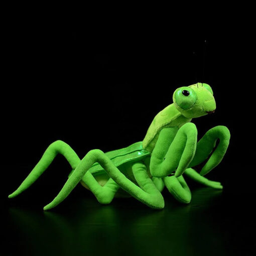 stuffed praying mantis