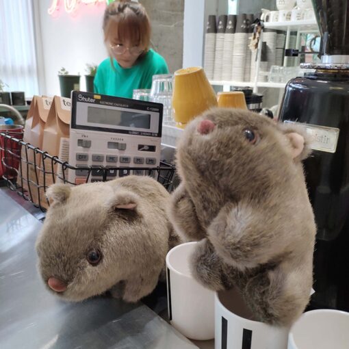 stuffed wombat