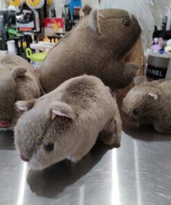 stuffed wombat toy