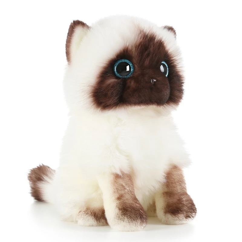 thumbnail image 2 of Jellycat Siamese Cat Plush Toy Stefan The Siamese Cat, St￭ Animal Plush The Perfect Gift For Grown Ups 11 Inches 2 of 9