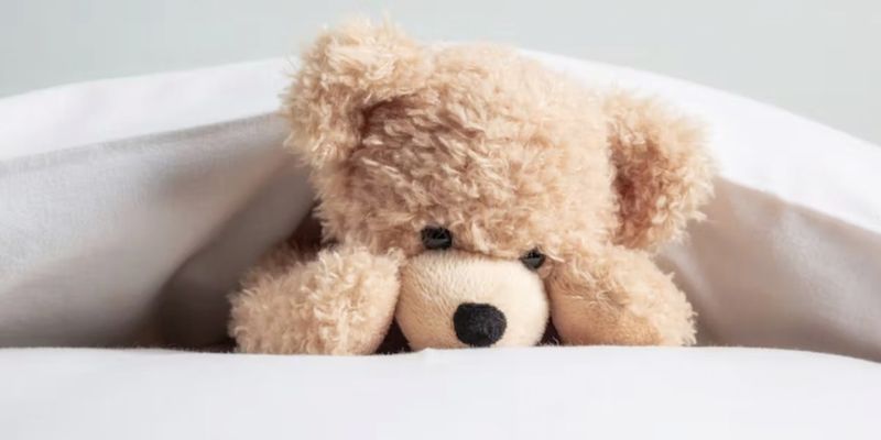 Emotional Attachment To Stuffed Animals Adults and Why it is Accepted 