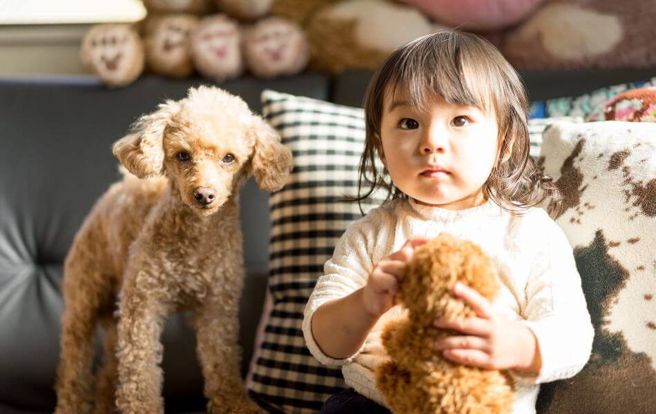 Our children aren't getting softer, but their stuffed animals are. Here's  why.