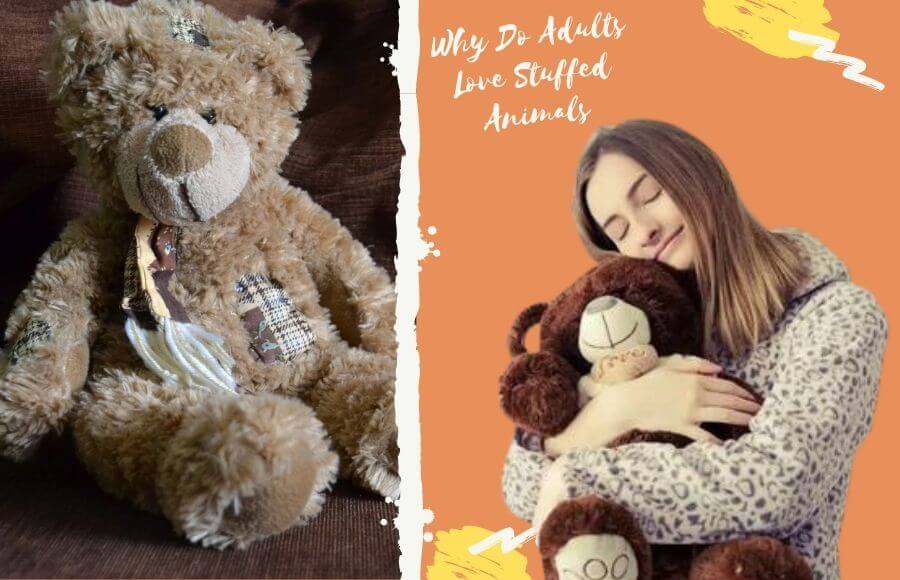 Why Do Adults Love Stuffed Animals