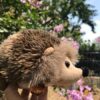 Realistic Hedgehog Stuffed Animal