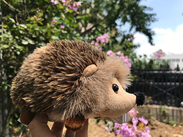 Realistic Hedgehog Stuffed Animal