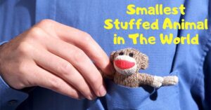Smallest Stuffed Animal in The World