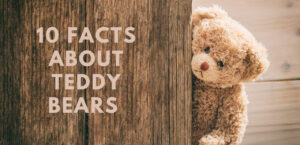 10 Facts About Teddy Bears