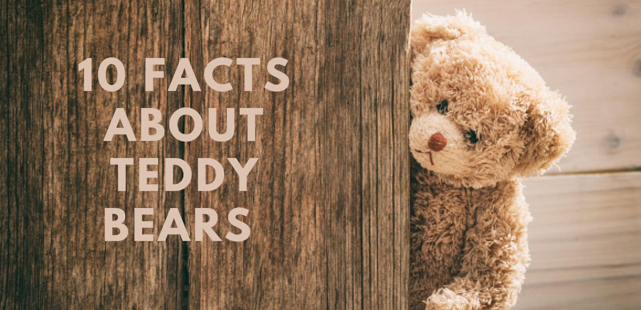 Top 10 Most Expensive Teddy Bears in the World - Expensive World