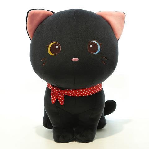 black-cat