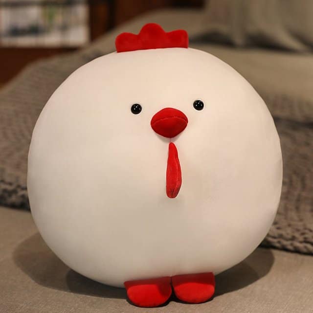 fat-white-chicken