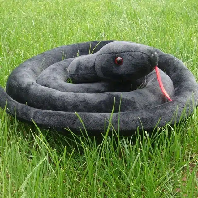 1pc-black-snake