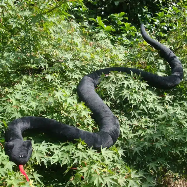 1pc-black-snake