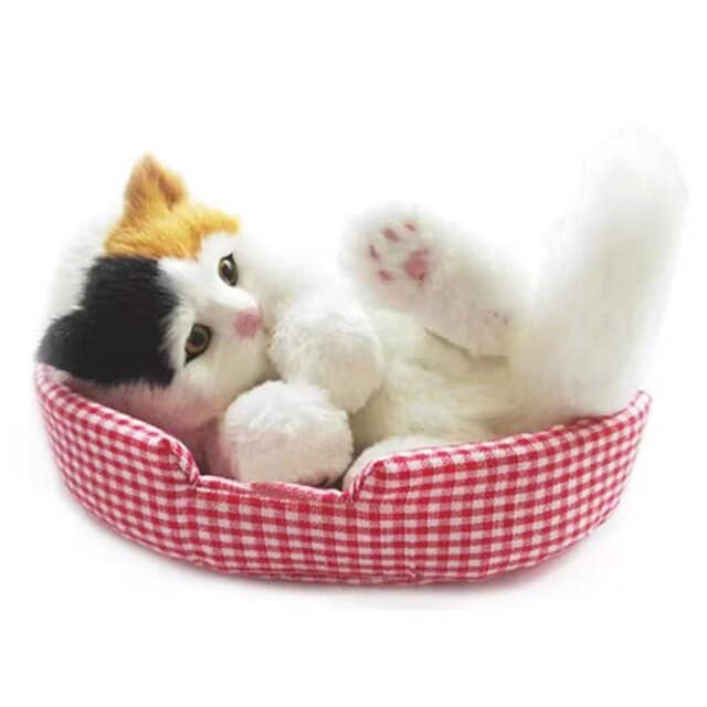 yb-cat