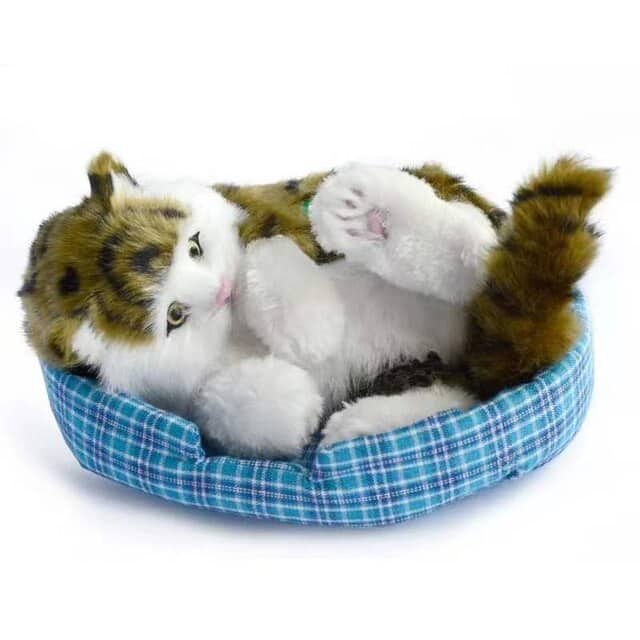 gr-cat