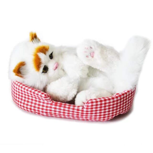 yf-cat
