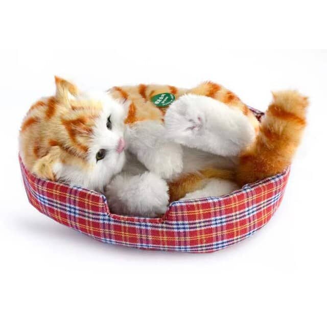 ye-cat