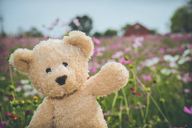 33 Interesting Facts About Teddy Bears