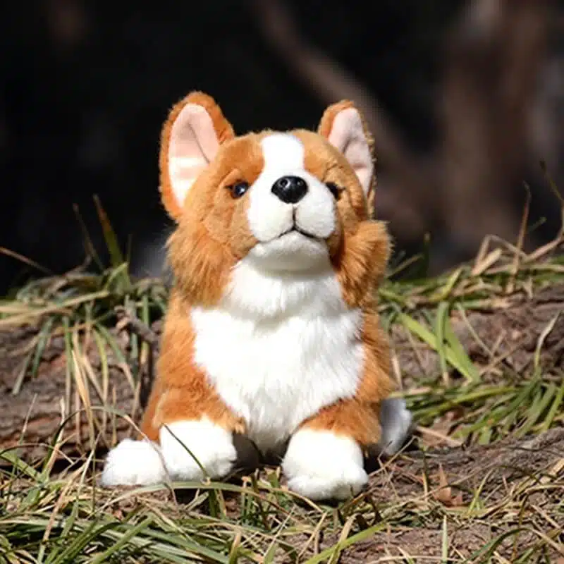 Peluche Pokémon 8 Yamper Da 20 Cm, Ufficiale Jazwares, Cane Corgi Morbido, Giocattolo Per Bambini Dai 2 Anni