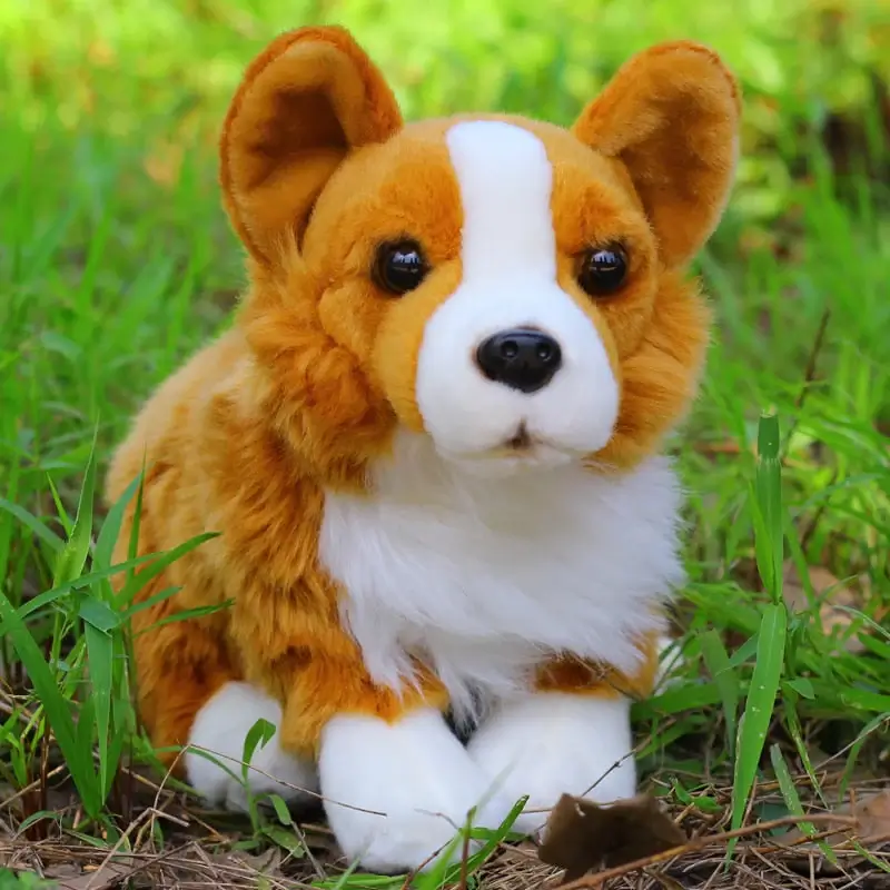 Realistic Corgi Plush Toy