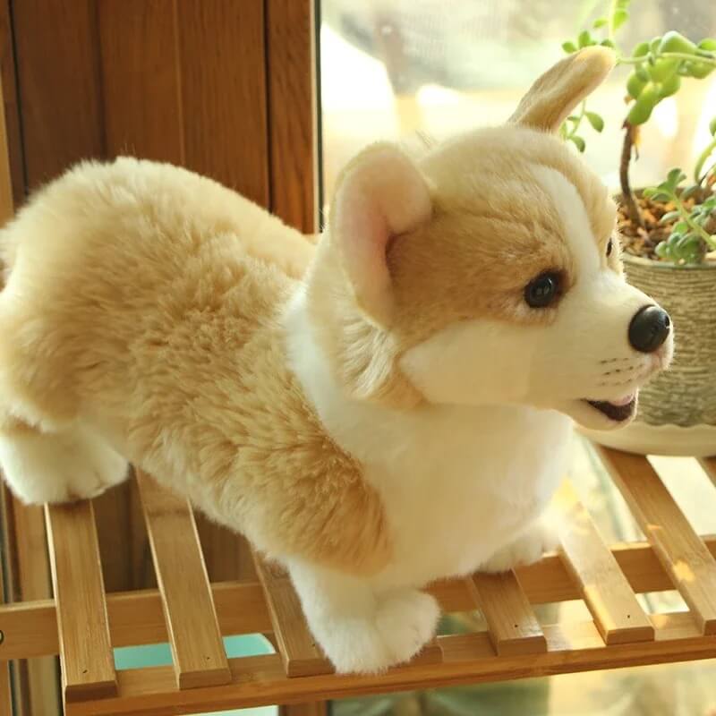 Realistic Corgi stuffed animal