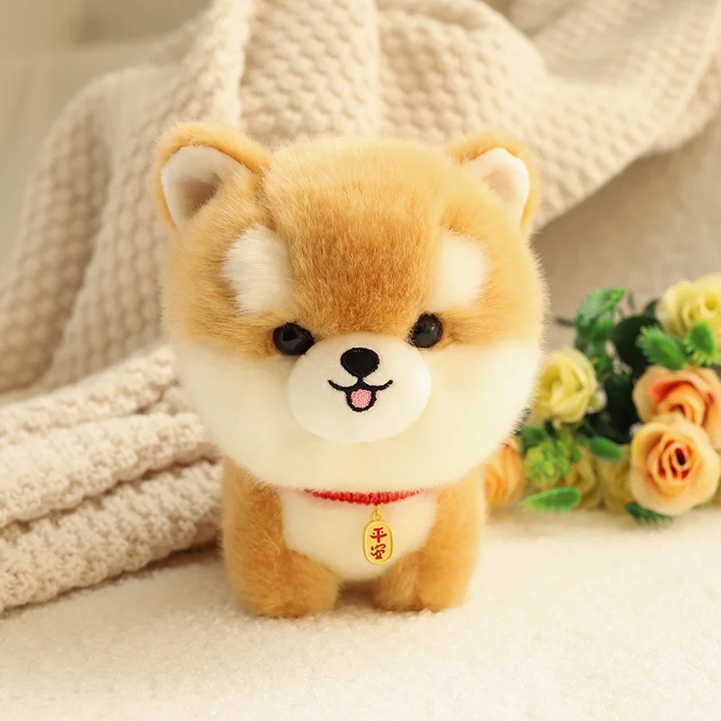 shiba-inu