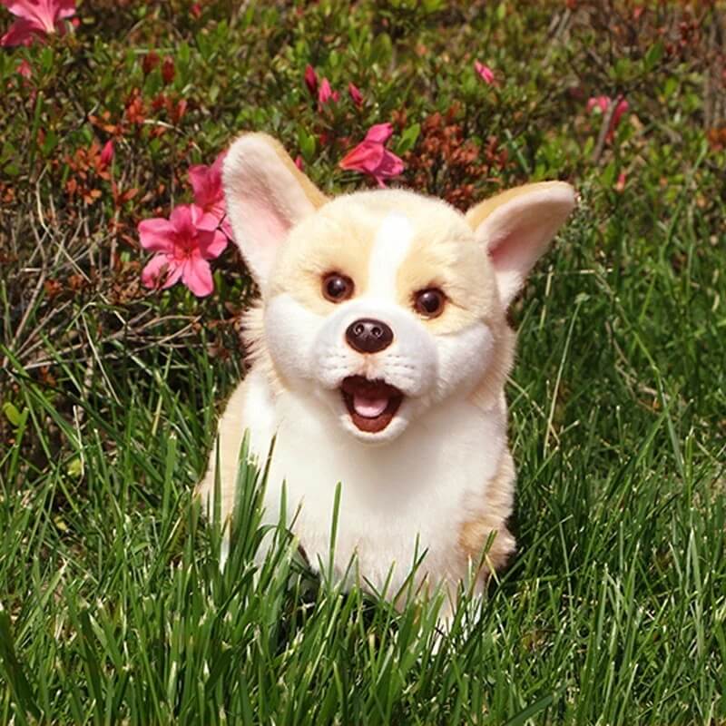 Alternative view of Realistic Corgi Stuffed Animal