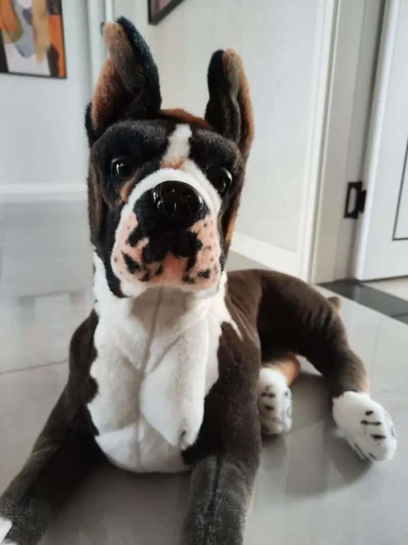 realistic boxer stuffed animal