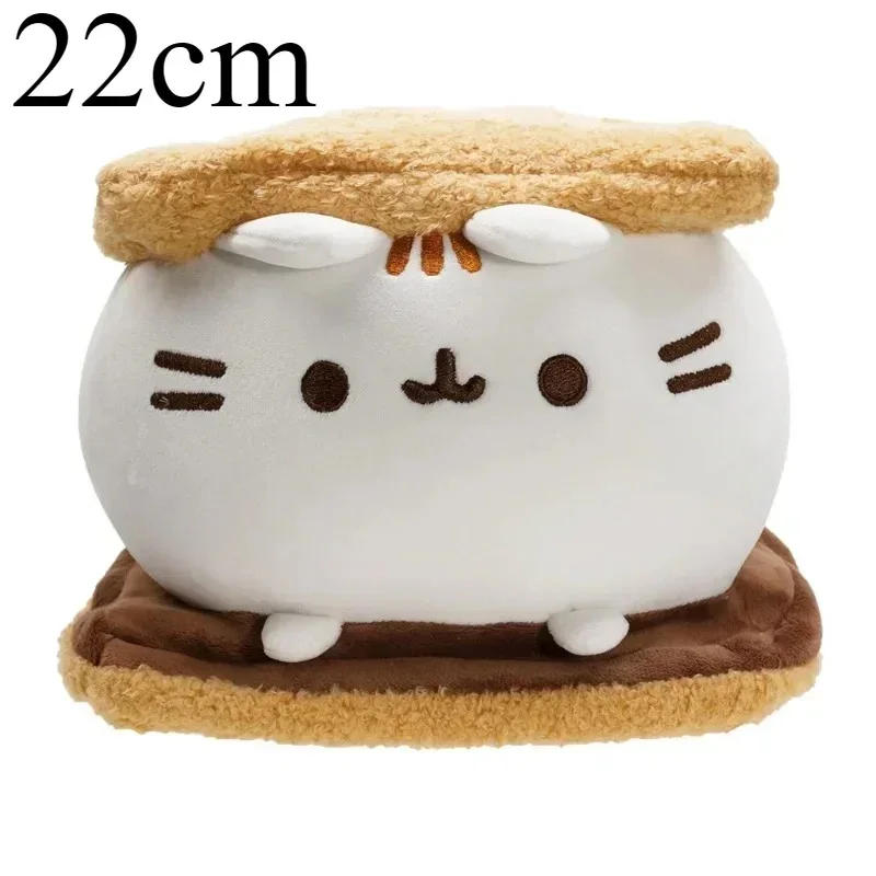22cm