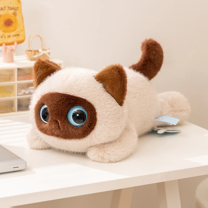 siamese-cat