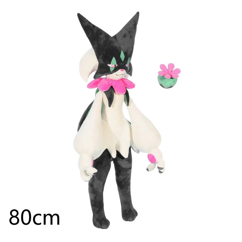 80cm