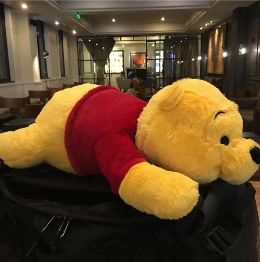 winnie-pillow