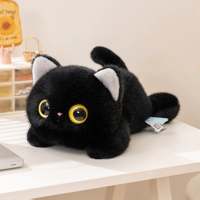 black-cat
