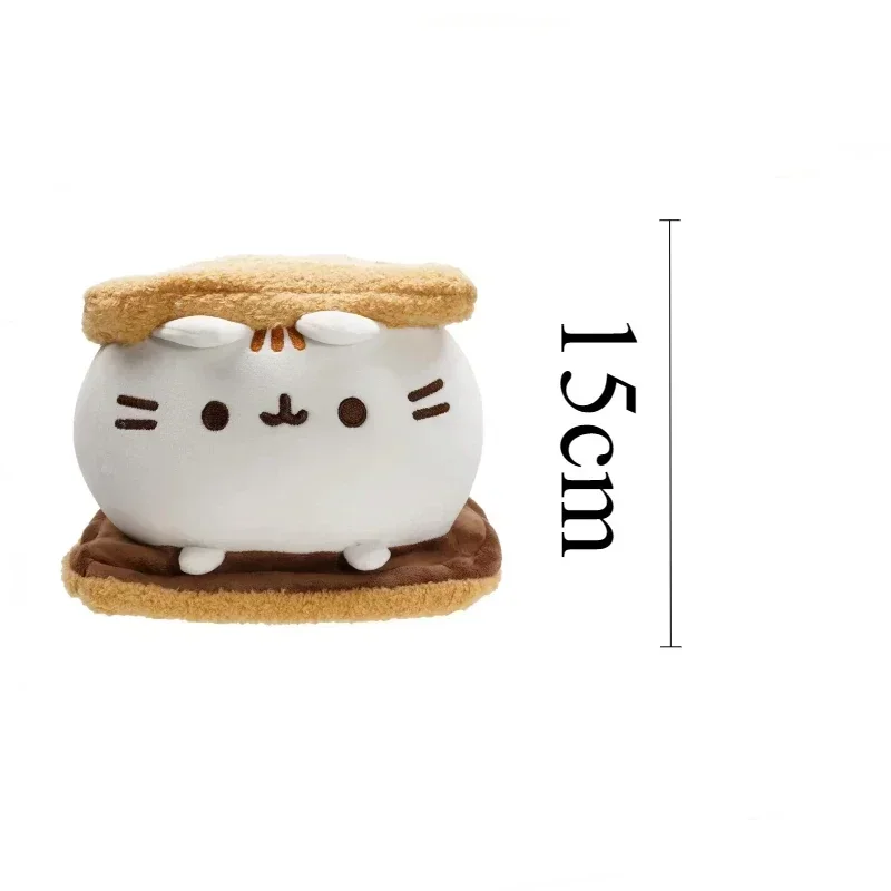 15cm